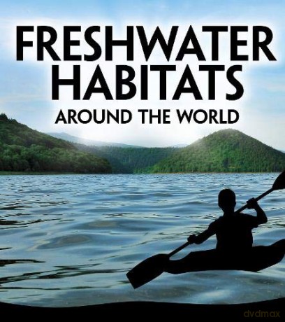 Exploring Earth's Habitats: Freshwater Habitats Around the World - Victoria G. Christensen [KSIĄŻKA]