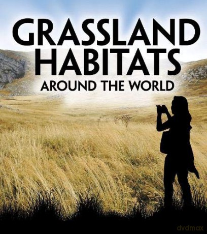 Exploring Earth's Habitats: Grassland Habitats Around the World - Victoria G. Christensen [KSIĄŻKA]