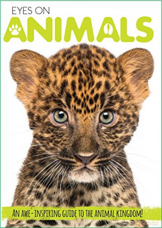 Eyes On Animals - Courtney Acampora [KSIĄŻKA]