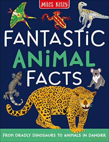 Fantastic Animal Facts - Miles Kelly [KSIĄŻKA]