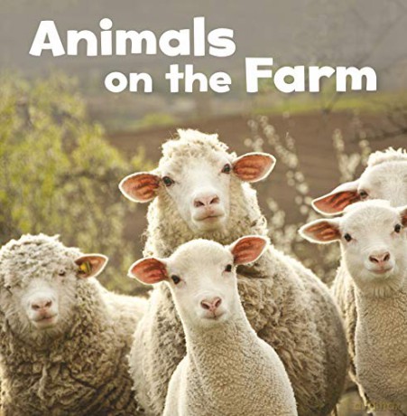 Farm Facts: Animals on the Farm - Lisa J. Amstutz [KSIĄŻKA]