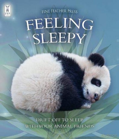 Feeling Sleepy (Interactive Animal Board Book to Help Your Child Fall Asleep) - Andrea Pinnington [KSIĄŻKA]