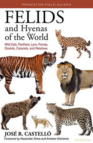 Felids and Hyenas of the World: Wildcats, Panthers, Lynx, Pumas, Ocelots, Caracals, and Relatives - José R. Castelló [KSIĄŻKA]
