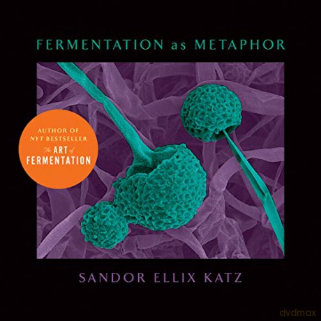 Fermentation as Metaphor: Follow Up to the Bestselling 'The Art of Fermentation' - Sandor Ellix Katz [KSIĄŻKA]
