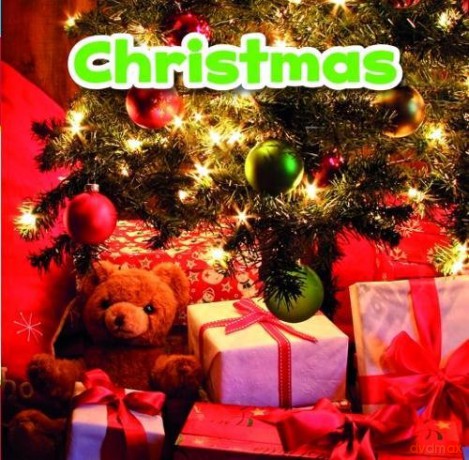 Festivals in Different Cultures: Christmas (Holidays in Different Cultures) - Lisa J. Amstutz [KSIĄŻKA]