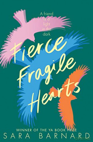Fierce Fragile Hearts (Beautiful Broken Things 2) - Sara Barnard [KSIĄŻKA]