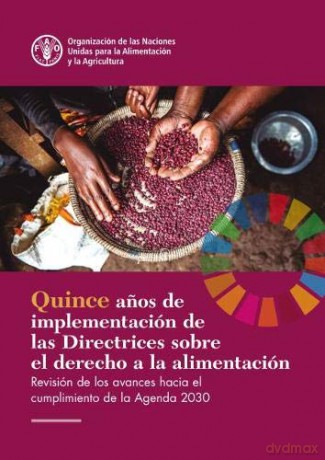 Fifteen Years Implementing the Right to Food Guidelines (Spanish Edition): Reviewing Progress to Achieve the 2030 Agenda [KSIĄŻKA]