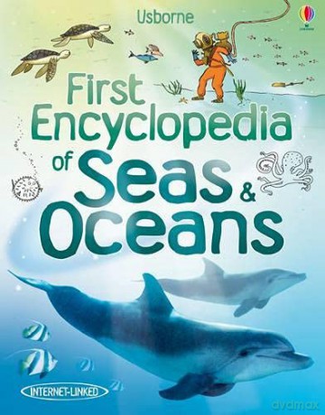 First Encyclopedia of Seas and Oceans: 1 (First Encyclopedias) - Jane Chisholm [KSIĄŻKA]