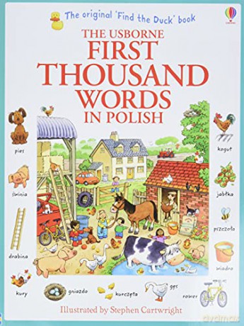 First Thousand Words in Polish (Usborne First Thousand Words): 1 - Heather Amery [KSIĄŻKA]