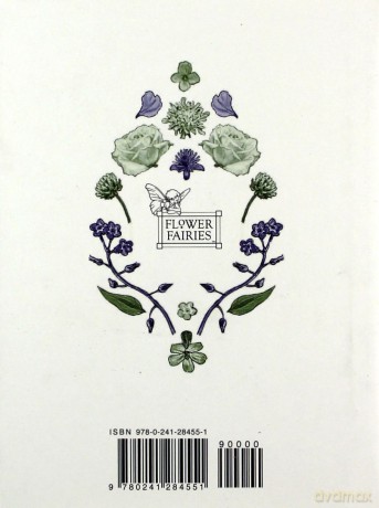 Flower Fairies of the Summer (Flower Fairies Original) - Cicely Mary Barker [KSIĄŻKA]