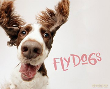 Flydogs - Todd R. Berger [KSIĄŻKA]