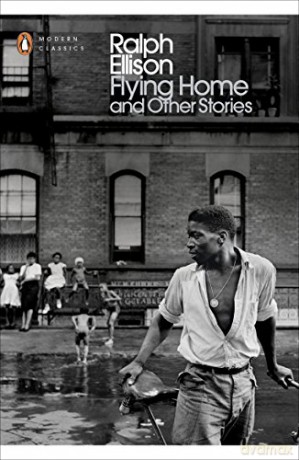 Flying Home And Other Stories (Penguin Modern Classics) - John Callahan [KSIĄŻKA]