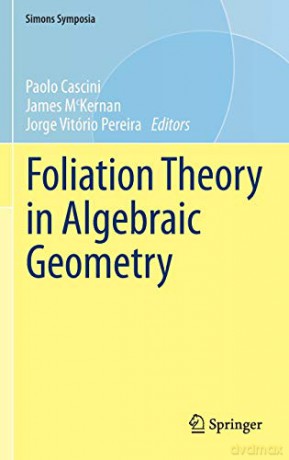 Foliation Theory in Algebraic Geometry (Simons Symposia) - Paolo Cascini [KSIĄŻKA]