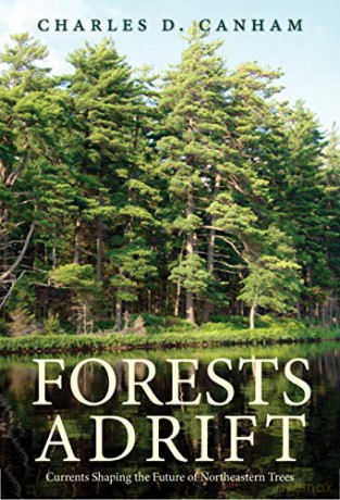 Forests Adrift: Currents Shaping the Future of Northeastern Trees (The Future Series) - Charles D. Canham [KSIĄŻKA]