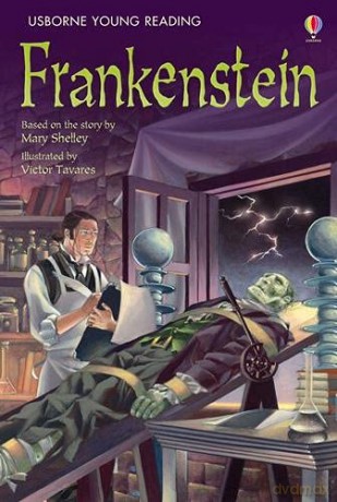 Frankenstein (Young Reading (Series 3)) (3.3 Young Reading Series Three (Purple)) - Rosie Dickins [KSIĄŻKA]
