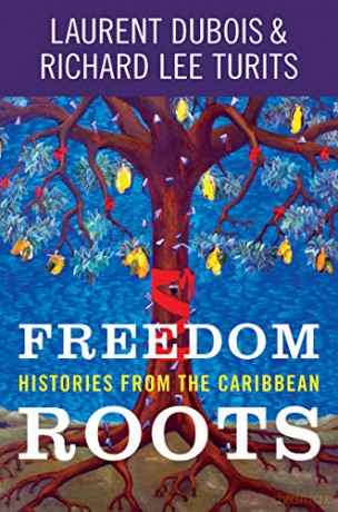 Freedom Roots: Histories from the Caribbean - Laurent Dubois, Richard Lee Turits [KSIĄŻKA]