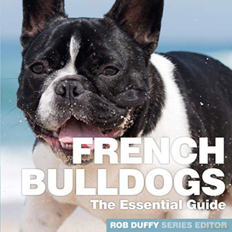 French Bulldogs: The Essential Guide (Need 2 Know Essential Guides) - Robert Duffy [KSIĄŻKA]