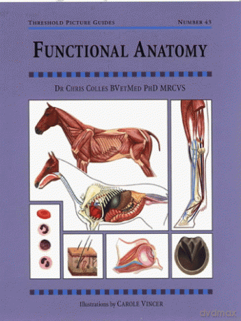 Functional Anatomy (Threshold Picture Guide 43): Threshold Picture Guide No 43 - Chris Colles [KSIĄŻKA]