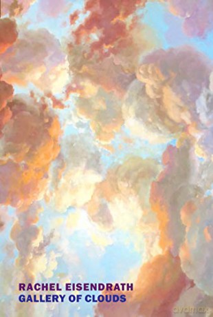 Gallery of Clouds - Rachel Eisendrath [KSIĄŻKA]