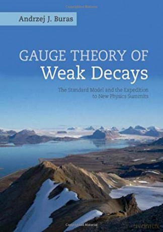 Gauge Theory of Weak Decays: The Standard Model and the Expedition to New Physics Summits (Cambridge Monographs on Particle Physics, Nuclear Physics an) - Andrzej J. Buras [KSIĄŻKA]