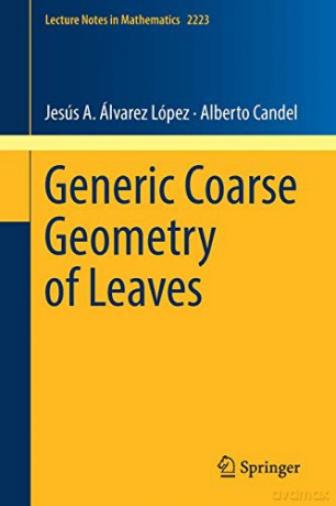 Generic Coarse Geometry of Leaves: 2223 (Lecture Notes in Mathematics) - Jesús A. Álvarez López [KSIĄŻKA]