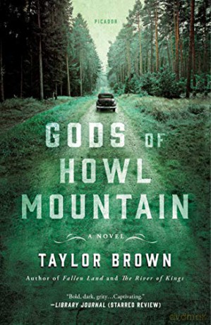 Gods of Howl Mountain: A Novel - Taylor Brown [KSIĄŻKA]