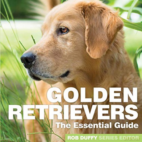 Golden Retrievers: The Essential Guide (Need 2 Know Essential Guides) - Robert Duffy [KSIĄŻKA]