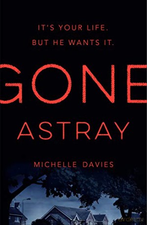 Gone Astray (DC Maggie Neville) - Michelle Davies [KSIĄŻKA]