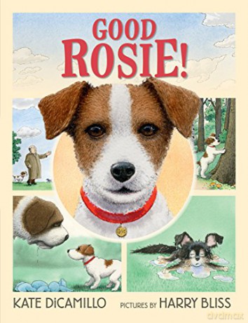 Good Rosie! - Harry Bliss [KSIĄŻKA]