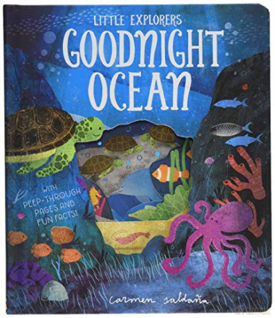 Goodnight Ocean (Little Explorers) - Becky Davies [KSIĄŻKA]