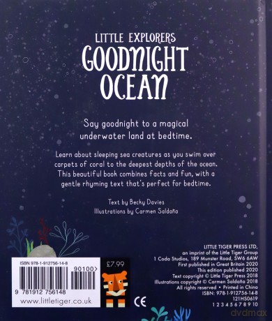 Goodnight Ocean (Little Explorers) - Becky Davies [KSIĄŻKA]