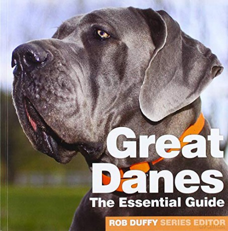 Great Danes (Need2Know Essential Guides) - Rob Duffy [KSIĄŻKA]