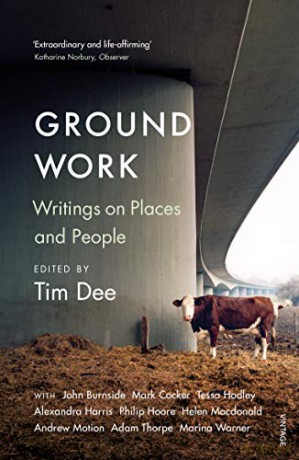 Ground Work: Writings on People and Places - Tim Dee [KSIĄŻKA]