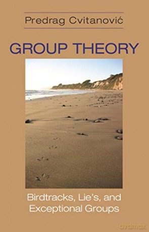 Group Theory: Birdtracks, Lie's, and Exceptional Groups - Predrag Cvitanovic [KSIĄŻKA]