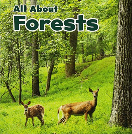 Habitats: All About Forests - Christina Mia Gardeski [KSIĄŻKA]