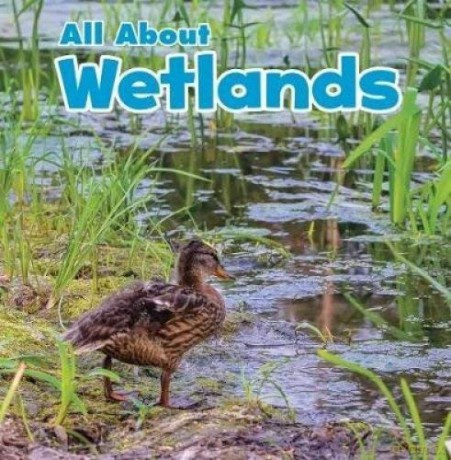Habitats: All About Wetlands - Christina Mia Gardeski [KSIĄŻKA]