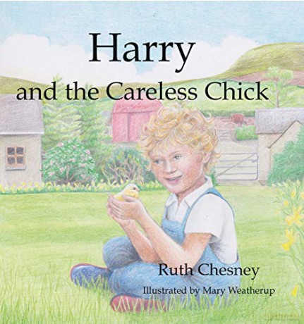 Harry and the Careless Chick - Ruth Chesney [KSIĄŻKA]