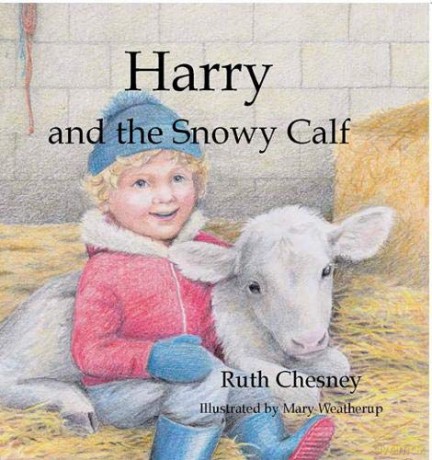 Harry and the Snowy Calf - Ruth Chesney [KSIĄŻKA]