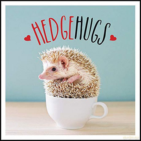 Hedgehugs: A Spike-Tacular Celebration of the World's Cutest Hedgehogs - Charlie Ellis [KSIĄŻKA]