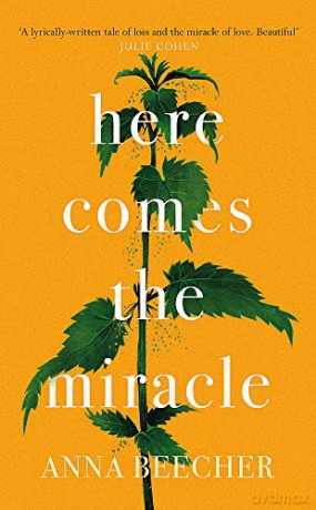 Here Comes the Miracle - Anna Beecher [KSIĄŻKA]