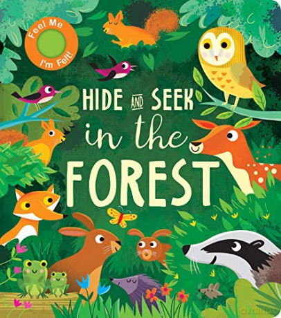 Hide and Seek In the Forest - Rachel Elliot [KSIĄŻKA]