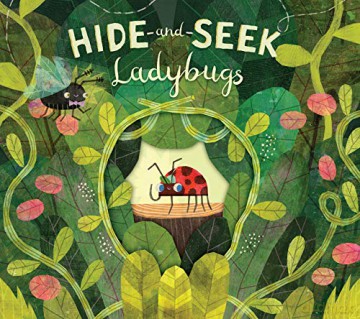 Hide-And-Seek Ladybugs - Paul Bright [KSIĄŻKA]