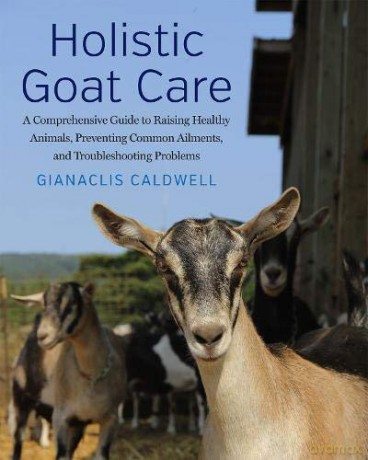 Holistic Goat Care: A Comprehensive Guide to Raising Healthy Animals, Preventing Common Ailments, and Troubleshooting Problems - Gianaclis Caldwell [KSIĄŻKA]