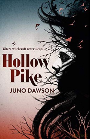 Hollow Pike - Juno Dawson [KSIĄŻKA]