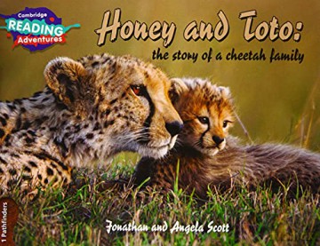 Honey and Toto: The Story of a Cheetah Family 1 Pathfinders (Cambridge Reading Adventures) - Jonathan, Angela Scott [KSIĄŻKA]