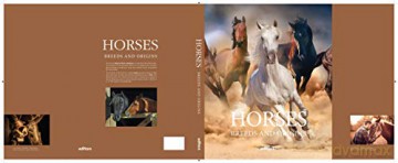 Horses: Breeds and Origins - David Dalmau [KSIĄŻKA]