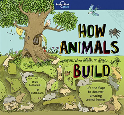 How Animals Build (Lonely Planet Kids) [KSIĄŻKA]