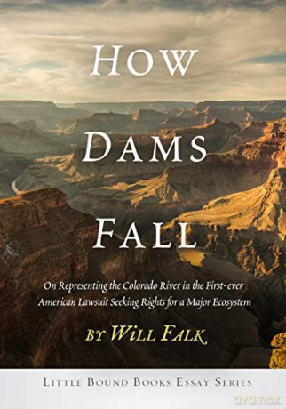 How Dams Fall - Will Falk [KSIĄŻKA]