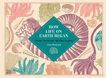 How Life on Earth Began: Fossils E Dinosaurs E The First Humans - Aina Bestard [KSIĄŻKA]