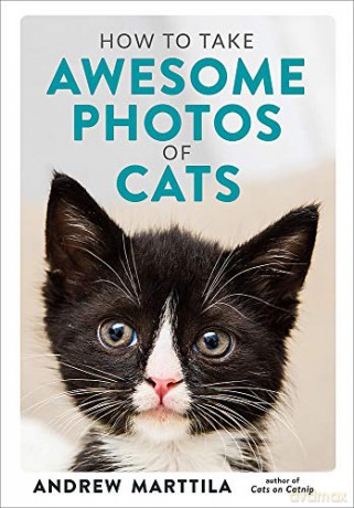 How to Take Awesome Photos of Cats - Andrew Marttila [KSIĄŻKA]